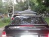 DSC03343.JPG