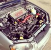 sti.jpg