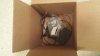 20150107_175848_resized.jpg