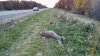 rps20170301_182354.jpg
