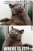 untitled-2-53ea2e835afe4.png