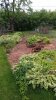 20170618_104719.jpg