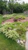 20170618_104727.jpg