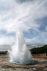 tenor (6).gif