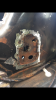 upload_2019-7-11_22-2-36.png