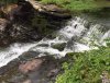 ED31CE42-3F9C-4024-B9E9-63DA157778AD.jpeg