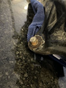 IMG_0947.jpeg