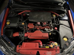 IMG_1265.jpeg