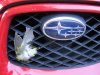 IMG_4128.JPG