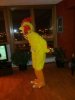 Chicken.jpg