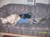 100_0284.jpg