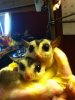 All pictures to July 2012 394.JPG
