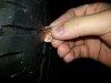 20130302_171838.jpg