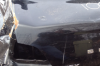 trunk 2.png