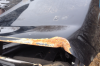 trunk.png