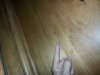 20130517_183319.jpg