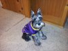 20121117_173244.jpg