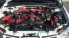 enginebay.jpg