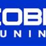 RobbyRex