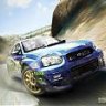 prodrivesti04