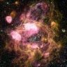 Cosmo